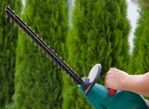 Desbroce de fincas, desbroces forestales Limpieza de parcelas y terrenos