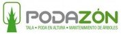 Tala de arboles en altura Tala y poda de arboles en altura