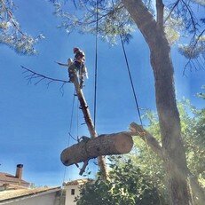 trabajo-con-freno-y-poleas-1352436.jpg